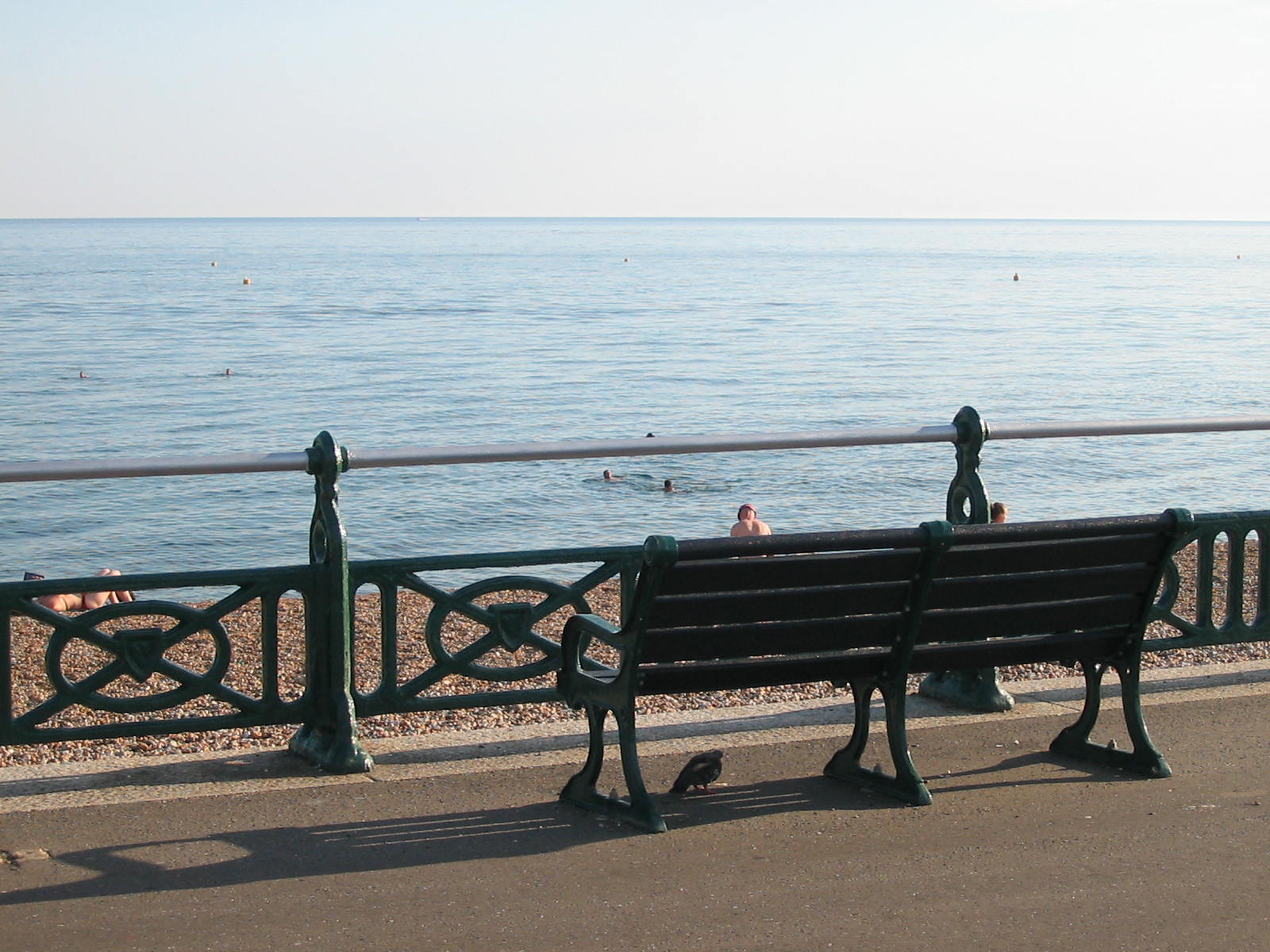 Bench by the sea  Rebecca Shtasel