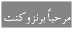 Welcome to Brunswicknet written in Arabic